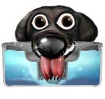 Slopper Stopper Dripless Water Bowl - Tritan Plastic Bowl Unit - for Large Breed Dogs 51-85 Lbs, 9.84” Dia, 1 Gallon Capacity