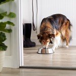 Amazon Basics Stainless Steel Dog Bowl, Single