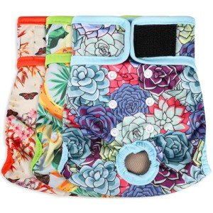 Grecle Washable Female Dog Diapers - Premium Reusable Diapers for Doggie in Heat - Highly Absorbent Dog Diapers Female for Pet Incontinence with Adjustable Snaps (Succulents, XL)