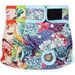 Grecle Washable Female Dog Diapers - Premium Reusable Diapers for Doggie in Heat - Highly Absorbent Dog Diapers Female for Pet Incontinence with Adjustable Snaps (Succulents, XL)