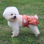 Susunyloviy Washable Female Dog Diapers for Medium Dogs,4 Pack Reusable Doggie Diapers Super Absorbent Dogs Pants in Period,Heat Cycle,Incontinence,Excitable Urination,Large