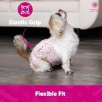 American Kennel Club Female Dog Wrap, Disposable Diapers with Wetness Indicator, Medium, 50 Count