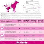 American Kennel Club Female Dog Wrap, Disposable Diapers with Wetness Indicator, Medium, 50 Count