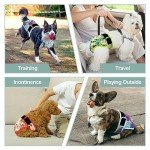 Grecle Washable Female Dog Diapers - Premium Reusable Diapers for Doggie in Heat - Highly Absorbent Dog Diapers Female for Pet Incontinence with Adjustable Snaps (Succulents, XL)