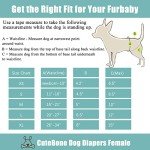CuteBone Female Dog Diapers with Skirts 3 Pack Reusable Puppy Dresses Pants for Heat Cycle Period QBD11L