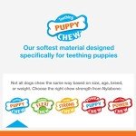 Nylabone Freezer Knuckle Bone Puppy Chew Toy, Soothing Teething Toys for Puppies, Color Changing, Lamb & Apple Flavor, Small - Up to 25 lbs, 1 Count