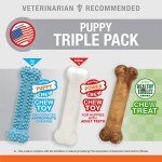 Nylabone Puppy Chew Toys & Natural Treat Triple Pack, Blue, Chicken & Bacon Flavor, Small - Up to 25 Ibs, 3 Pack