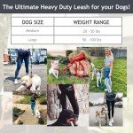 DOCO Heavy Duty Hands-Free Dog Leash Setup