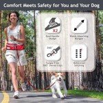 DOCO Heavy Duty Hands-Free Dog Leash Setup