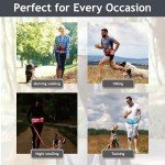 DOCO Heavy Duty Hands-Free Dog Leash Setup