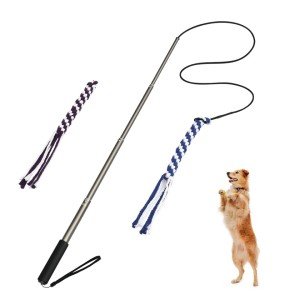 Interactive Flirt Pole for Dogs with Chew Toys