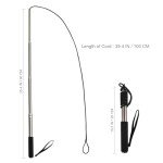 Interactive Flirt Pole for Dogs with Chew Toys