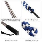 Interactive Flirt Pole for Dogs with Chew Toys