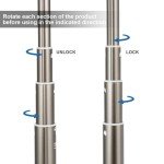 Interactive Flirt Pole for Dogs with Chew Toys