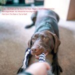 Interactive Flirt Pole for Dogs with Chew Toys