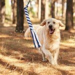 Interactive Flirt Pole for Dogs with Chew Toys