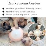 Doggiema Bubble Milk Bowl for Puppies