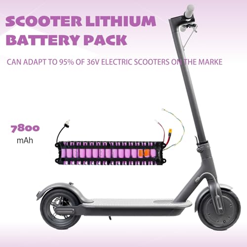 COASTA 36V 7800mAh Lithium Battery Pack