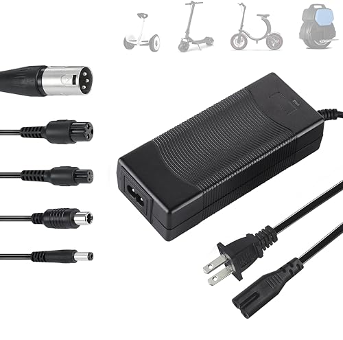 Universal 42V Electric Scooter Charger with 5 Plugs