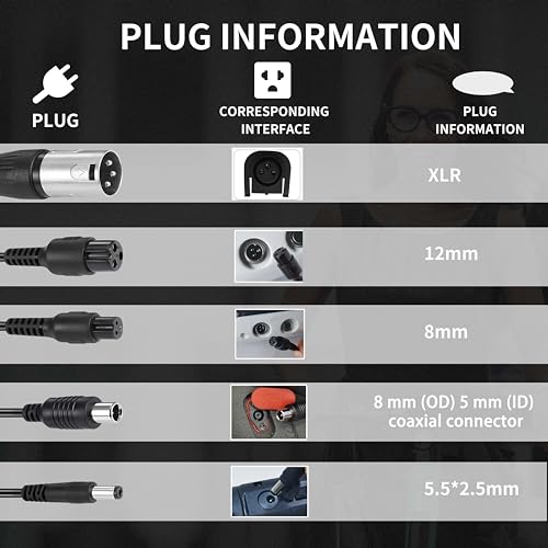 Universal 42V Electric Scooter Charger with 5 Plugs