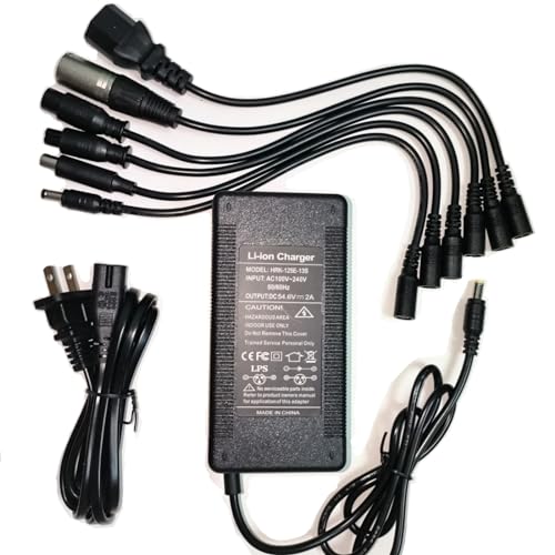 Universal 54.6V 2A Fast Charger for Electric Bikes