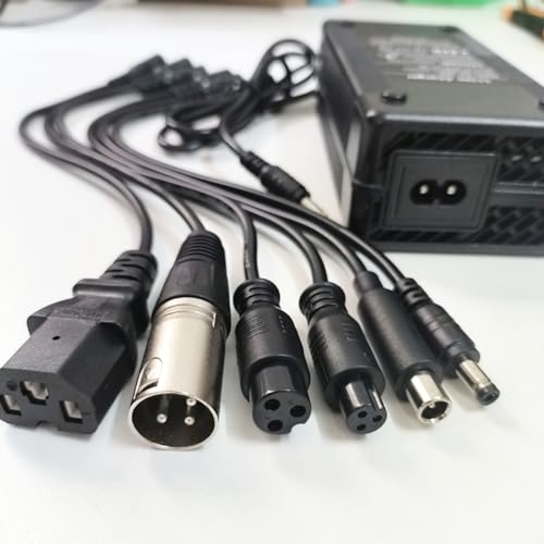 Universal 54.6V 2A Fast Charger for Electric Bikes