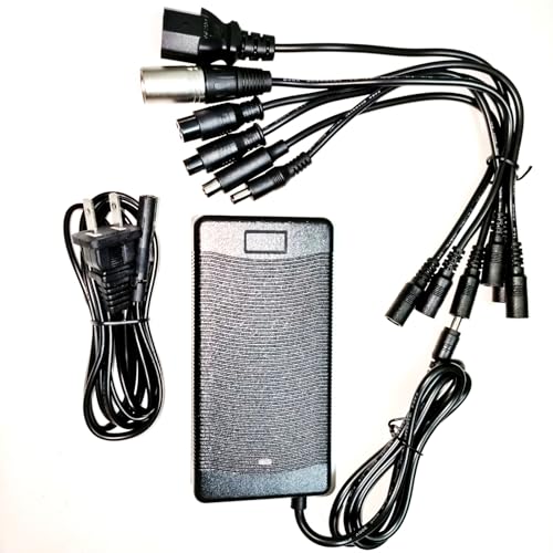 Universal 54.6V 2A Fast Charger for Electric Bikes