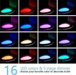 Color Changing Toilet Bowl Night Light Gadget