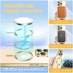 Hython Magnetic Clear iPhone 13 Pro Case - Gold