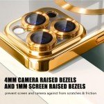 Clear Magnetic iPhone 13 Pro Case - Gold