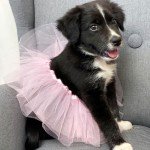 18" White Reborn Ballerina Tutu Doll