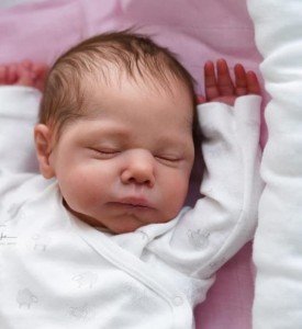 20" Limited Edition Marley Reborn Doll Kit