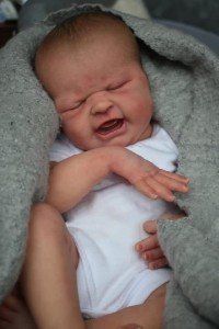 Anano 19-Inch Reborn Baby Doll Maria