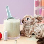 Weighted Beads for Reborn Dolls and Stuffed Animals