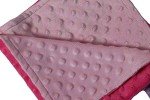 Reversible Pink & Purple Baby Doll Blanket Set