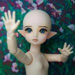 Proudoll 1/6 BJD Dana Doll - Customizable Action Figure
