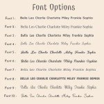 Personalized Plush Elephant Pillow with Custom Details