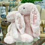 Personalized Embroidered Bunny Plush Toy for Kids