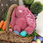 Personalized Embroidered Bunny Plush Toy for Kids