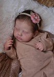 20" Realistic Silicone Reborn Baby Doll Girl