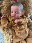 Lou Lou Reborn Doll - Adorable Companion