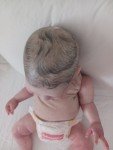 Realistic Reborn Baby Doll for Collectors