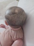 Realistic Reborn Baby Doll for Collectors