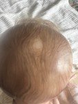 Reborn Doll Delilah by Nikki Reed
