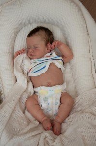 NPK 45CM Lifelike Reborn Baby Doll Loulou