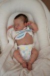NPK 45CM Lifelike Reborn Baby Doll Loulou