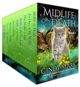 Sweet Mountain Witches: Paranormal Cozy Mysteries Collection