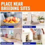 Terro Indoor Fruit Fly Traps (6 Pack)