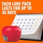 Terro Indoor Fruit Fly Traps (6 Pack)