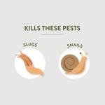 Garden Safe Slug & Snail Bait Granules, 2 lbs